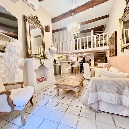 Riviera - Maison Du Senat - Vieille - Triplex 4 Pieces A Deux Pas De La Nice